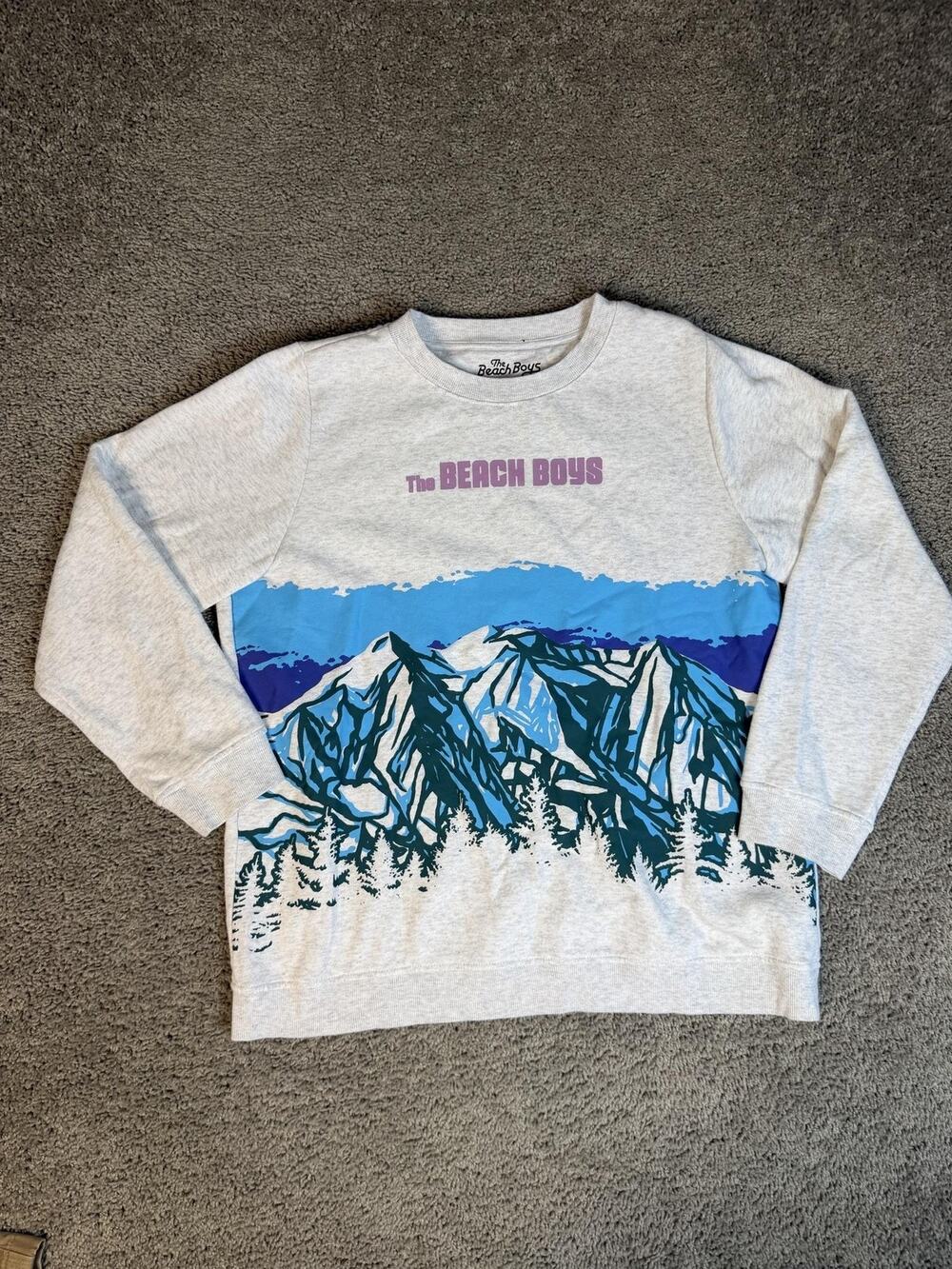 The Beach Boys Sweatshirt Womens XXL Gray Mountain Graphic Pullover Fleece